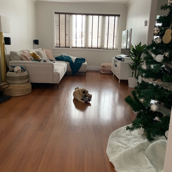 Meet your Posher, Veronica - Picture 1 of 1